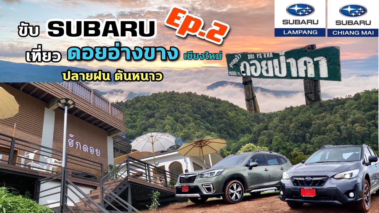 ขับ Subaru เที่ยวดอยอ่างขาง ช่วงปลายฝนต้นหนาว EP 2
