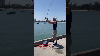 #fishing #melbourne #portphillipbay #stkilda #fish