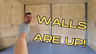 Lining a Shed with Plywood - Workshop Build Series - Part 7