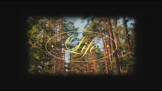 Every Life Matters | A Short Film Tribute About the Sacredness of Life