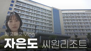 vlog  목포 신안 자은도 씨원리조트로 떠나요 | 인동주마을 | 채긋채긋 Chaeyeon