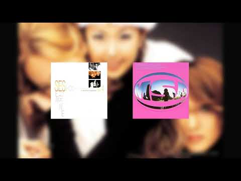 [S.E.S. 4집 (감싸 안으며) 원곡] MISIA - つつみ込むように