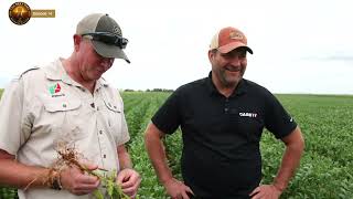 Till Next Time #14 -  Soybean Success: Real Farmers Talk Varieties, Disease & Yield.
