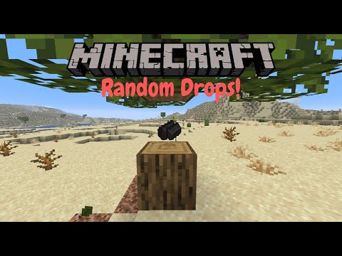 Minecraft, But Every Drop Is Randomized - YouTube