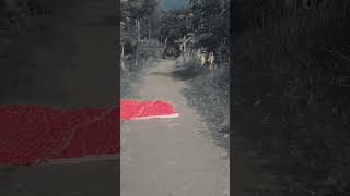 ❤️ MD,,, বন্ধুর বিনোদন