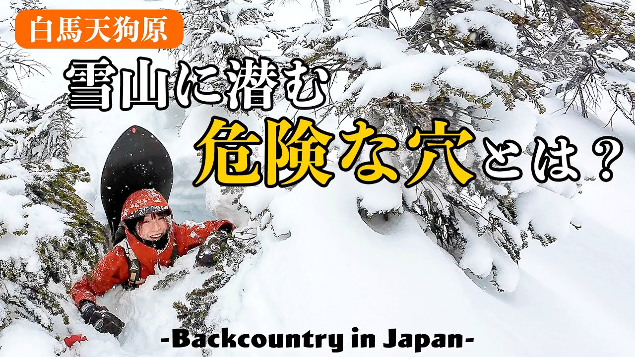 HAKUBA in Japan】Enjoy backcountry ski but be careful about Tree