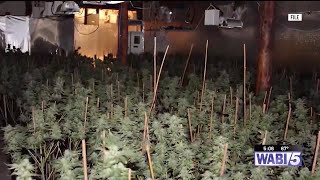 Sen. Collins questions Attorney General Bondi on federal law enforcement response to illegal mari...