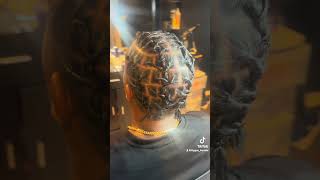 Starter Locs barrel twist #locs #locjourney #viral