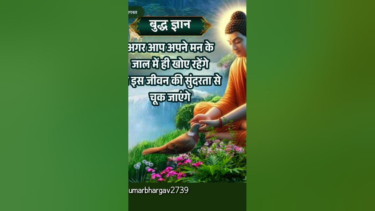 Buddhist temple🥰❣️🌿🌹 Namo buddhay💙🙏💯 ... . . . #love #song #music #motivation