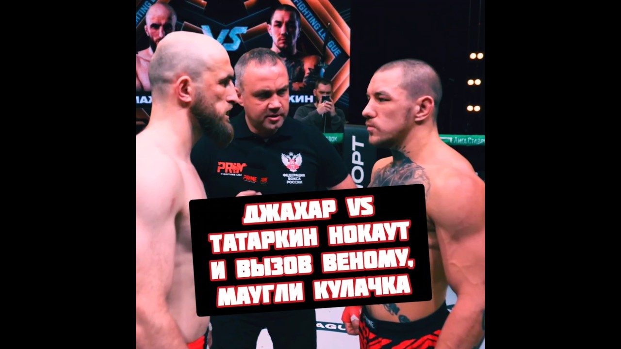 Татаркин vs Джахар нокаут в бою на Prime FL и вызов