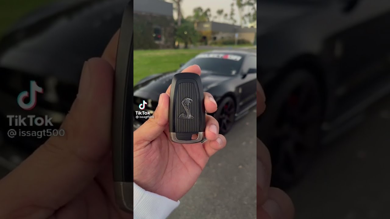 Clean MUSTANG SHELBY 