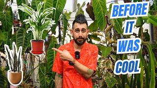 🌿Before Instagram: The Secret History of Houseplant Obsession