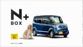 n Box 20127 Cm