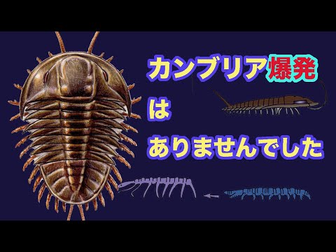 There was no Cambrian explosion - Earth's history, part 8