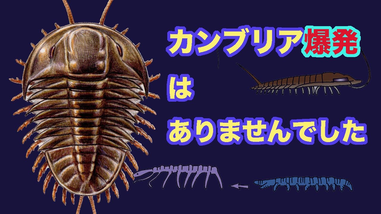 『多様性の爆発』 There was no Cambrian explosion - Earth's history, part 8 - YouTube