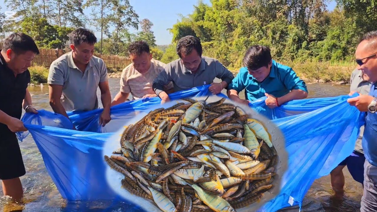 peb mu dawj ntses leev lom zem kawg