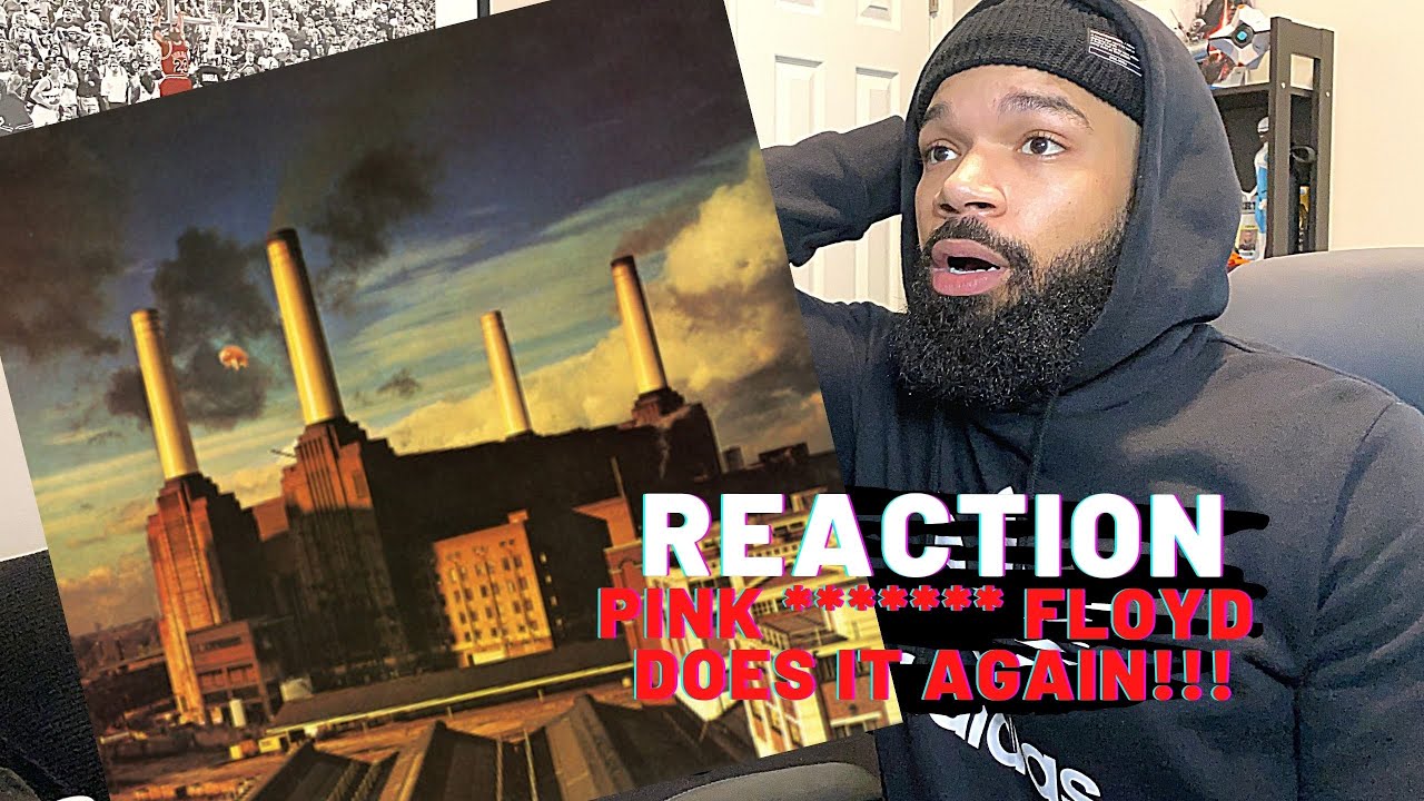 PINK FLOYD - Pigs || Reaction (First Listen)