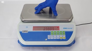 Adams Equipment Bench Checkweighing Scale  8-Lb. Capacity 0.0001-Lb./0.5g Display Increments Model#