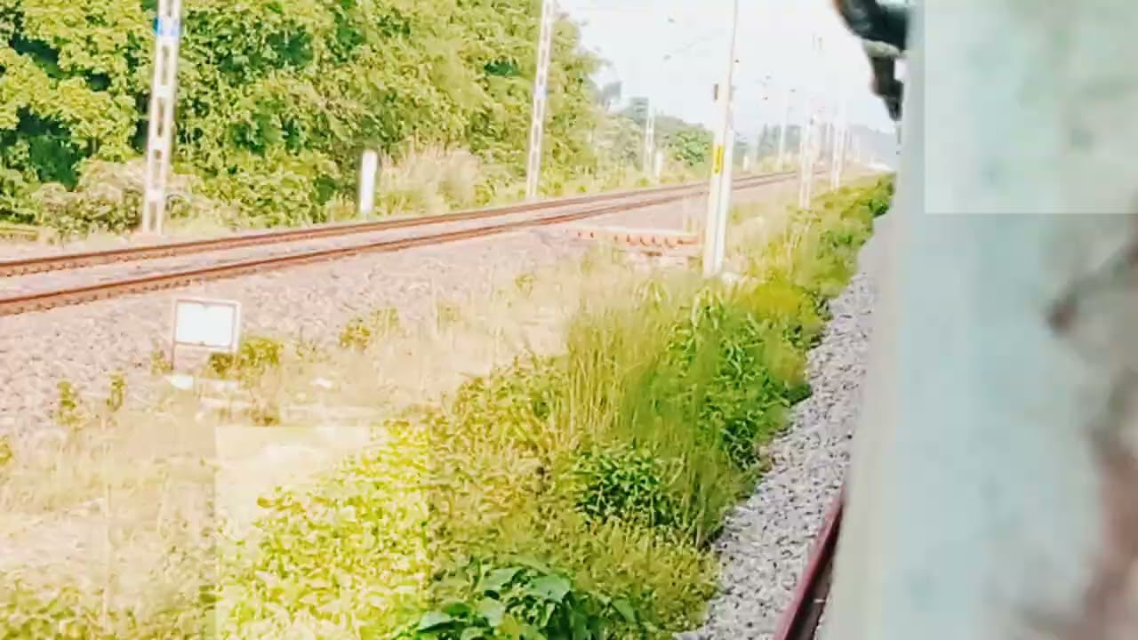 55802 DN MANAS RHINO PASSENGER |  Location at TETELIA JÑ.