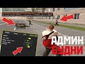 АДМИН БУДНИ, ЭПИЧНЫЕ ПОГОНИ - CRMP AMAZING RP GREEN