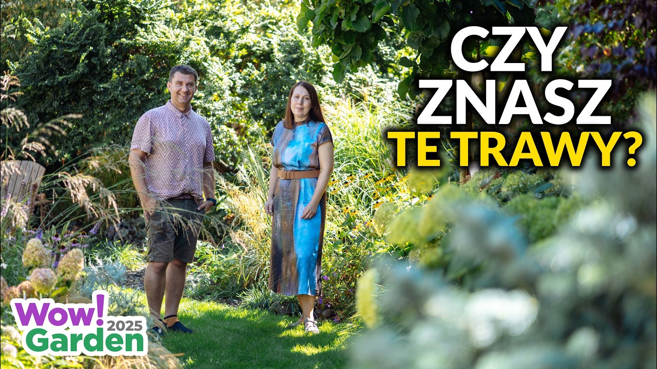 Najpiękniejsze trawy do ogrodu 🌿 Odporne na suszę i do cienia | Wow!Garden 2025