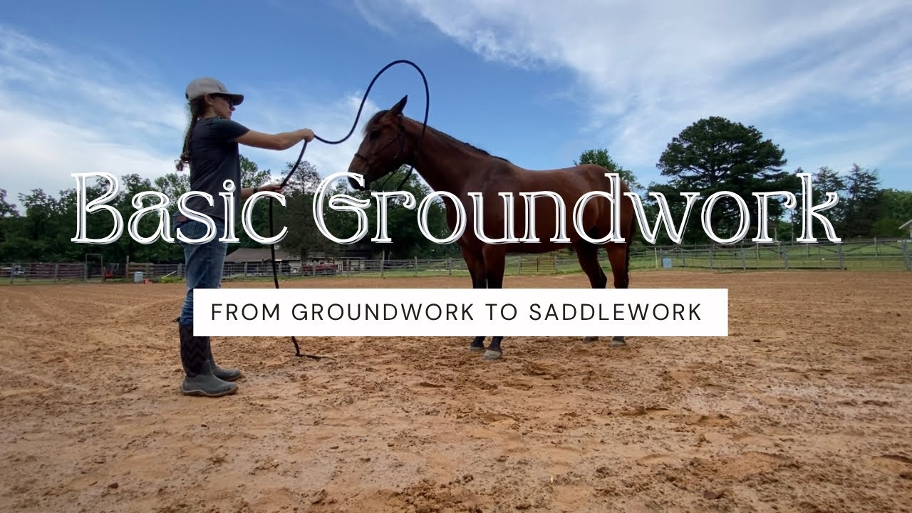 BASIC GROUND MANNERS FOR HORSES