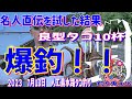 名人直伝を試した結果　良型タコ10杯　爆釣！！