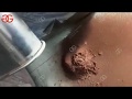 Cocoa Powder Making MachineCocoa Beans Powder Processing ...