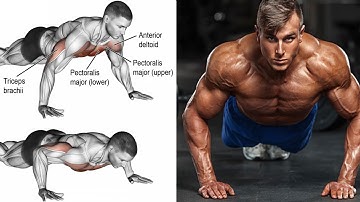 Most Effective Push-Up Variations: : Beginner to Advanced