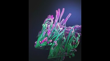 hair dinamic cinema 4d