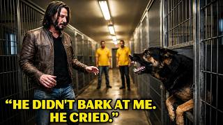 No One Could Touch This Dog for 2 Year…Until He Saw Keanu Reeves