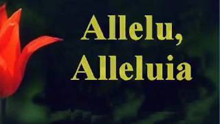 Download Lagu Seek Ye first The kingdom of God  lyrics MP3