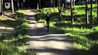 Public Park, Private Lives – The Student’s tale (#3/6)