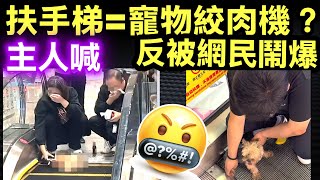 有片 商場扶手梯夾死狗片瘋傳！男女主人傷心抹淚　網民怒斥：無資格喊Smart Travel《即時娛樂》 扶手梯=寵物絞肉機？你每一步都可能害死佢！ #蘇錦樑因病離世  #張柏芝被劉嘉玲吐槽沒男友就想生