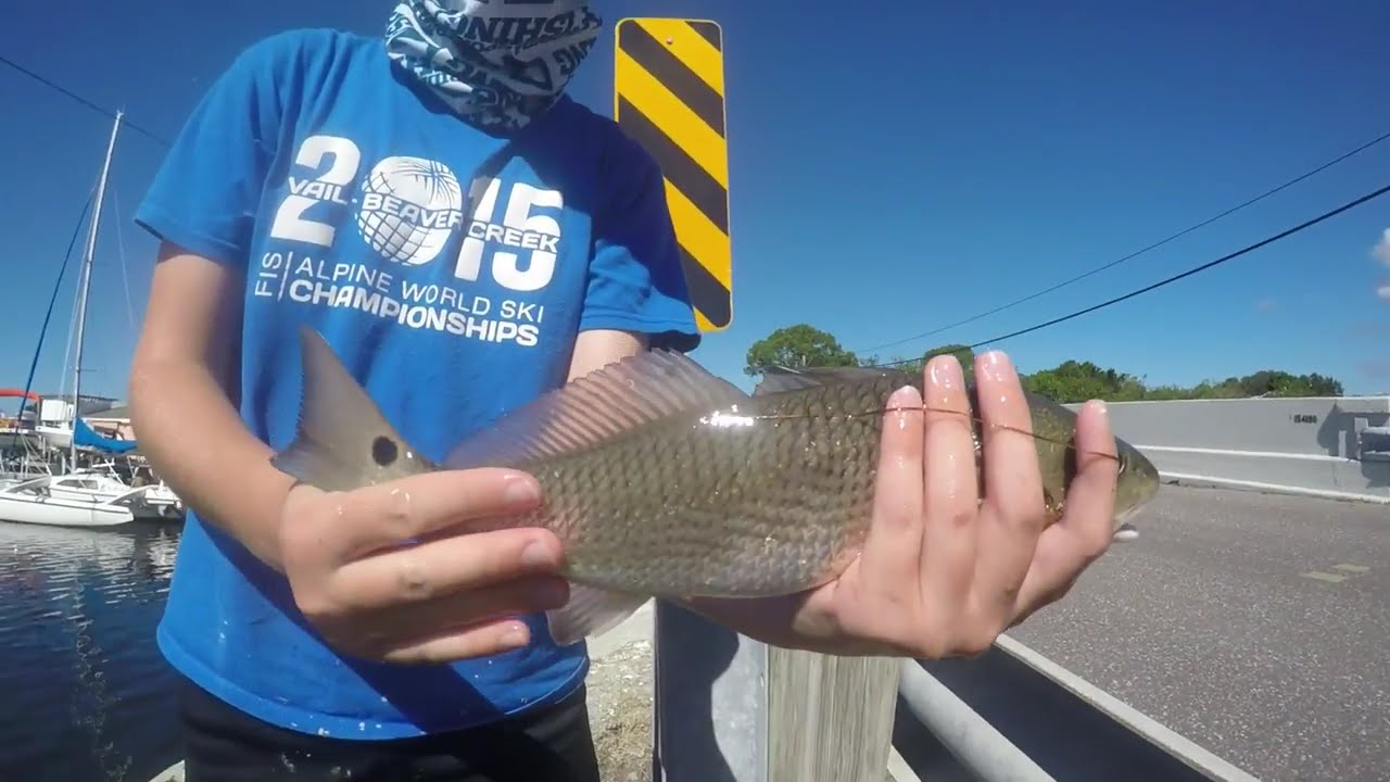 Florida Inshore Fishing - Redfish, Snook, and Snapper