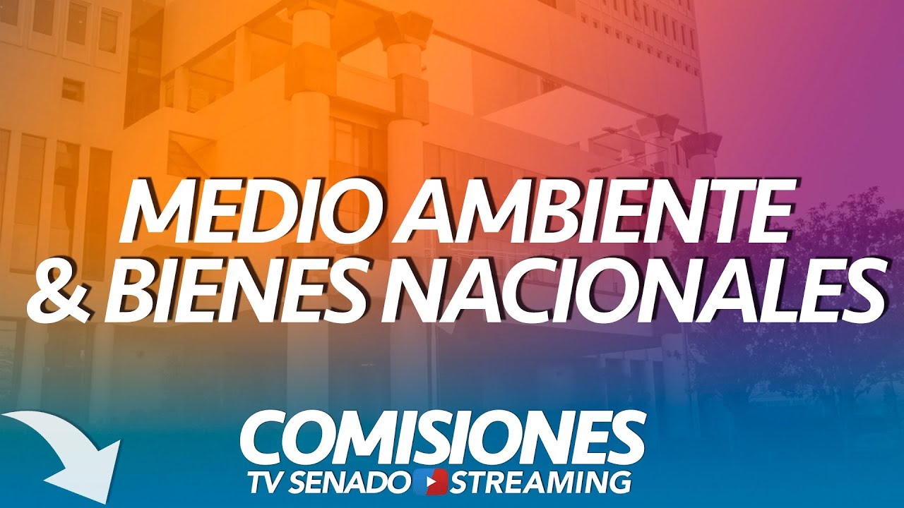 Comisión de Medio Ambiente - 21 de Enero 2019