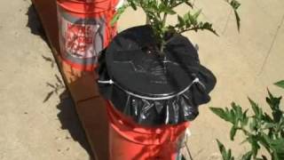 Global Buckets : Introduction (like EarthBox®)