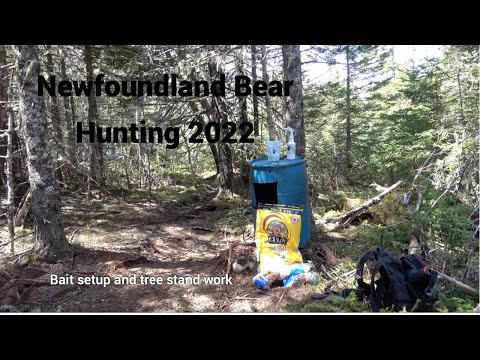 2022 Newfoundland Bear Hunting Part 1| Setting up bait and tree stand work