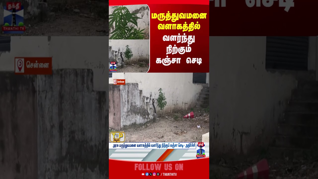 Hospital | chennai | thanthitv