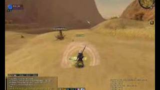 Sro bug