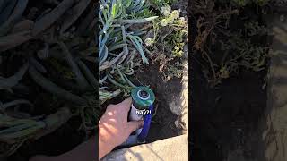 Stop Running Over Your Sprinkler Heads (Easy Fix 💦)