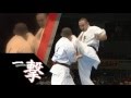 【新極真会】塚本徳臣　激闘篇  SHINKYOKUSHINKAI KARATE NORICHIKA TSUKAMOTO KO DVD