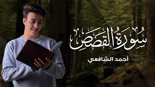 سورة القصص كاملة - أحمد الشافعي | Surat Al Qasas - Ahmed alshafey