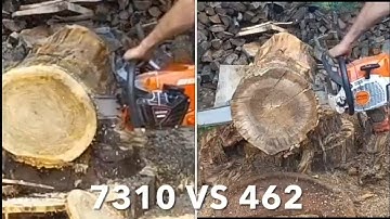 Echo CS-7310 vs Stihl MS-462