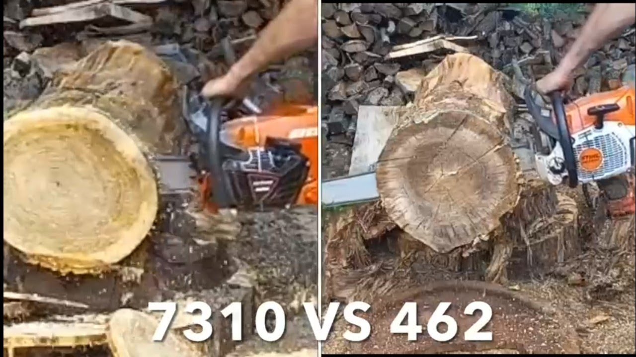 Echo CS-7310 vs Stihl MS-462