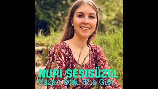 Nuri Sesigüzel..yazım Oldu Kış Gibi..