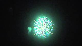 6'' Golden Palm Firework Shell with Green Pistil