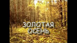 Золотая охотничья осень. Музыкальная тема осеннего леса.