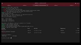 Video Demonstration Final Project Operating System