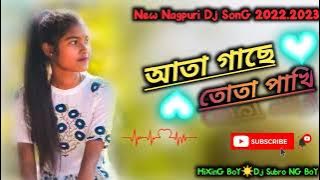 Aata Gache Tota Pakhi /💞/ New Nagpuri Dj Song 2022_2023 /💞/ New Nagpuri video /💞/ Dj Subro NG BoY